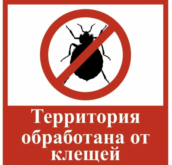 /upload/iblock/0fb/woksqfqvufxmseterbv4hwj3b0nb0br0/2HJrwYmP48iqnddvSGfVZi0FUrKkv43Vuy0Vupv9GfgJRwH0iA0x7trg7mrPWHhdKx00Kl2j0woqAX0mM1mKoGpk.jpg
