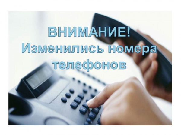 /upload/iblock/2d6/ql215yl7g26jk6801awei23775qonko0/Cay1PigS56w.jpg