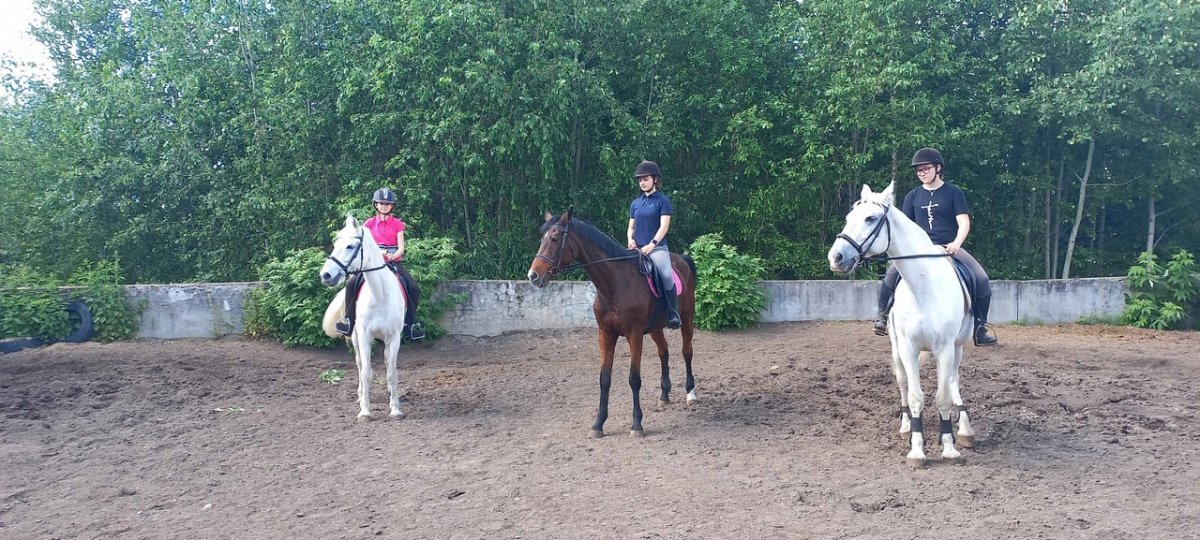 Для поддержки развития конного спорта в начальной группе, КСК "Мустанг" получил новое поголовье лошадей.