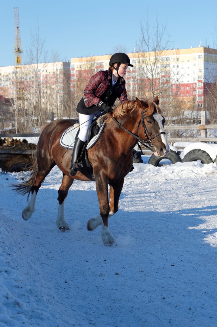 С 25 по 28 февраля в Ханты-Мансийске состоятся открытые региональные соревнования по конкуру и выездке «Кубок Федерации конного спорта Югры».