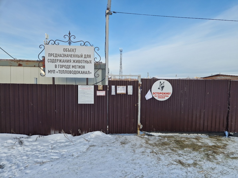 /upload/iblock/52f/4s3flgx5j7p5zizmifv57m62kcs2glcq/korobka-dobra.jpg