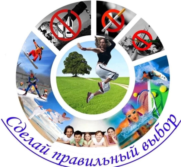 /upload/iblock/8f9/yg16c05go6iulx0x5jely41e77zafc83/koSozQZJ6J8.jpg