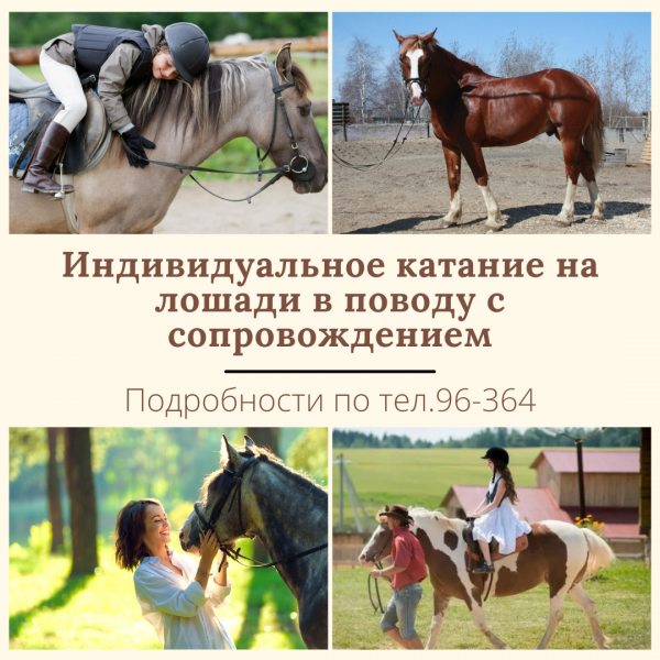 /upload/iblock/c30/dw6u38omz0cj1bms2g0s7f4i39p0qwur/Individualnoe-katanie-na-loshadi-v-povodu-s-soprovozhdeniem.png