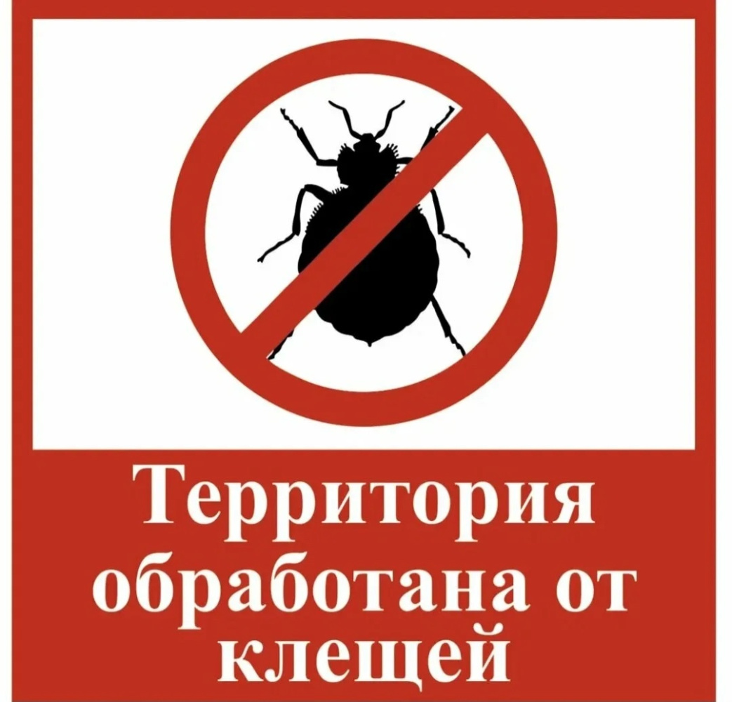 /upload/iblock/c73/jkusbesfec78wl3d9hj8en7a6t1439nt/2HJrwYmP48iqnddvSGfVZi0FUrKkv43Vuy0Vupv9GfgJRwH0iA0x7trg7mrPWHhdKx00Kl2j0woqAX0mM1mKoGpk.jpg